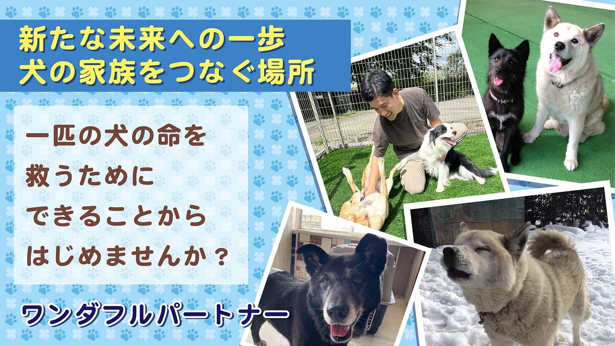 返礼品のHPにお名前掲載が完了致しました！