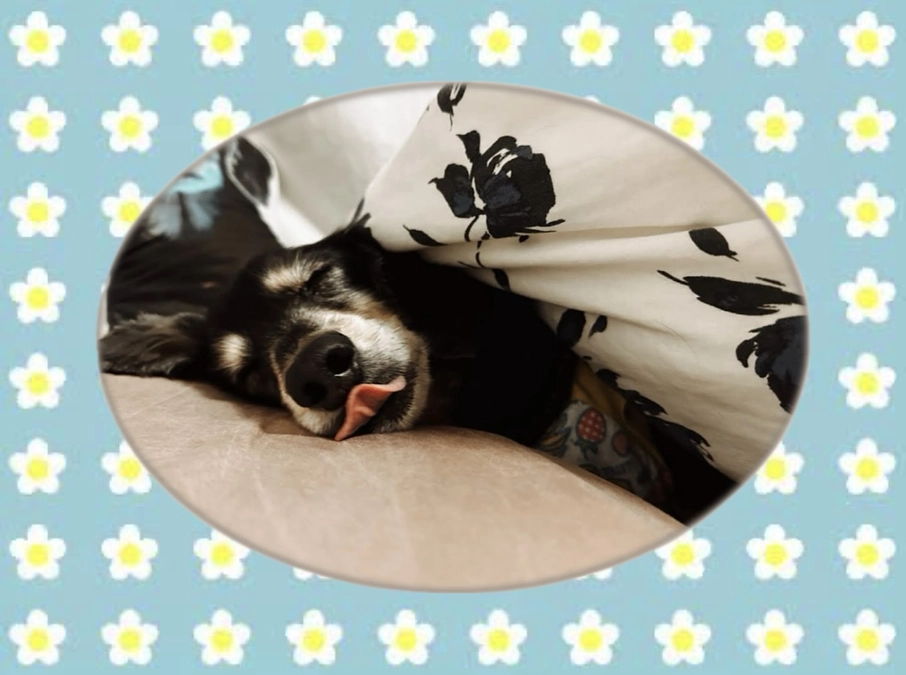 ご支援・拡散のご協力ありがとうございました！