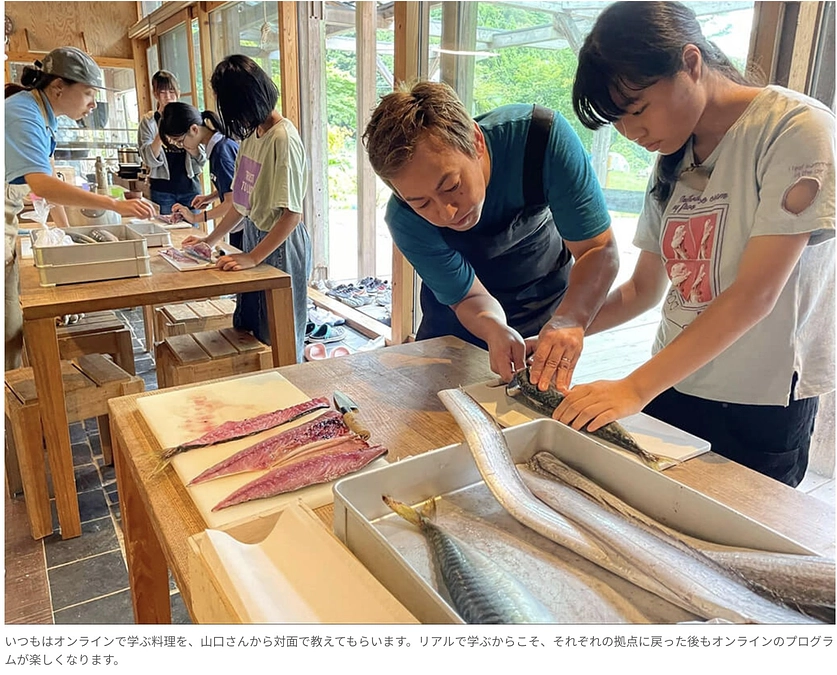 森と海と、次の明日へ。｜ほやとモリウミアス