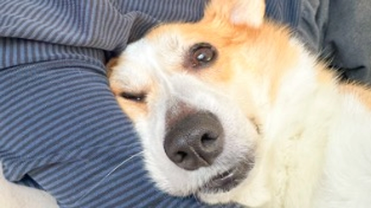 2024年11月2日& 11月16日