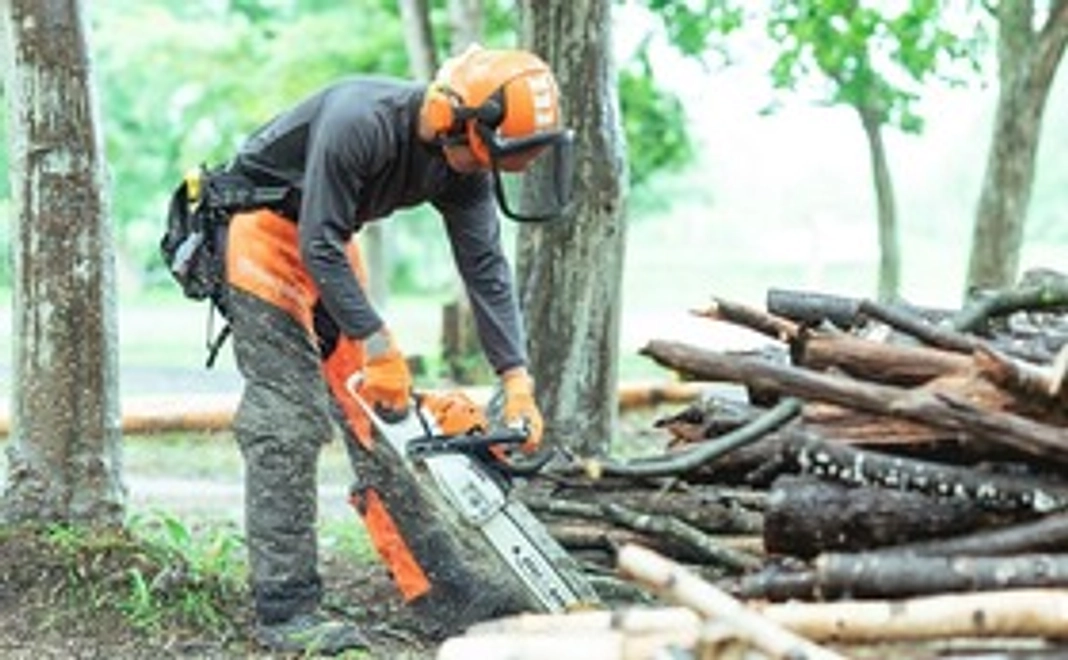 【特別体験コース】林業家・大西が1日しっかりと木こりの技術をお教えします。