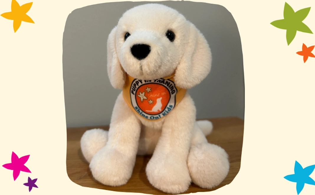 【候補犬】ファシリティドッグぬいぐるみ1種【税制優遇対象外】