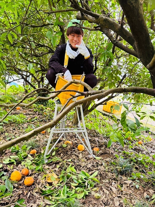 メンバー紹介④