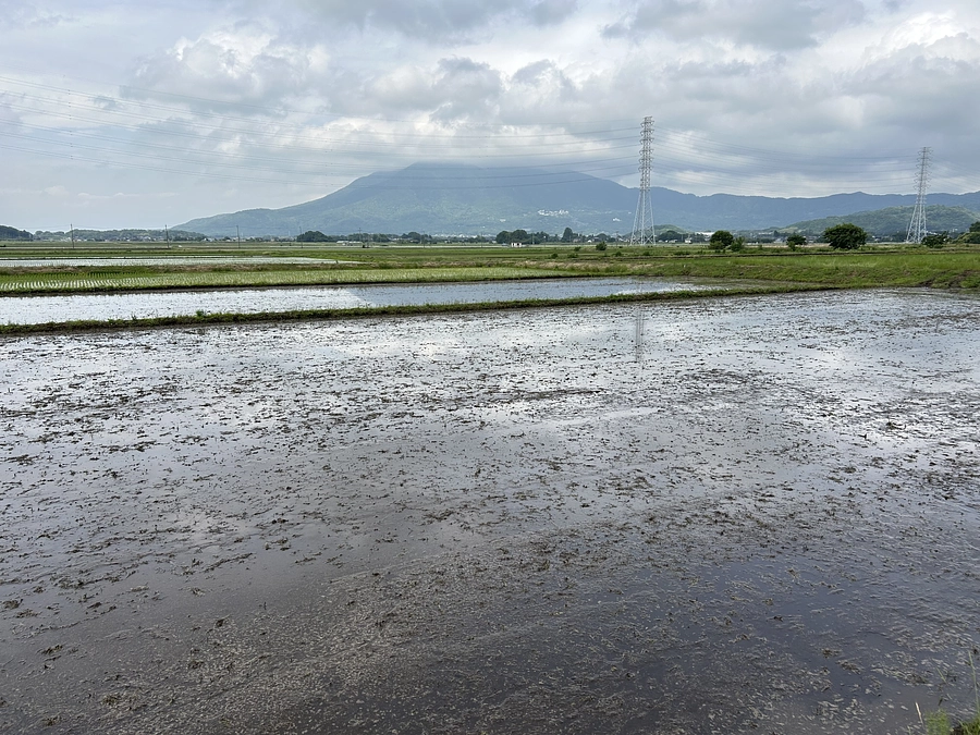 講演会の実施と2024年稲作自然栽培の種まき開始！