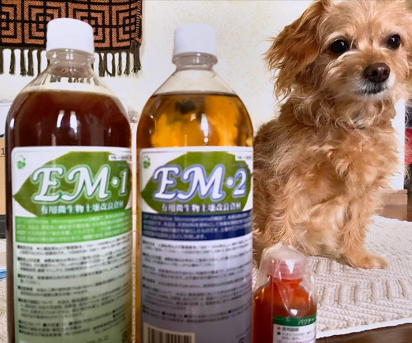 ご質問にお応えします😊