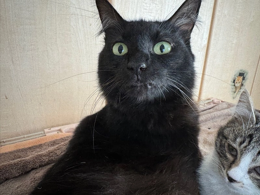 能登から来たチームラーメンズ