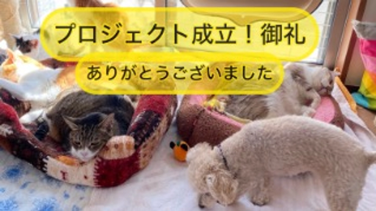 御礼 ネクストゴール達成しました！応援をありがとうございました！