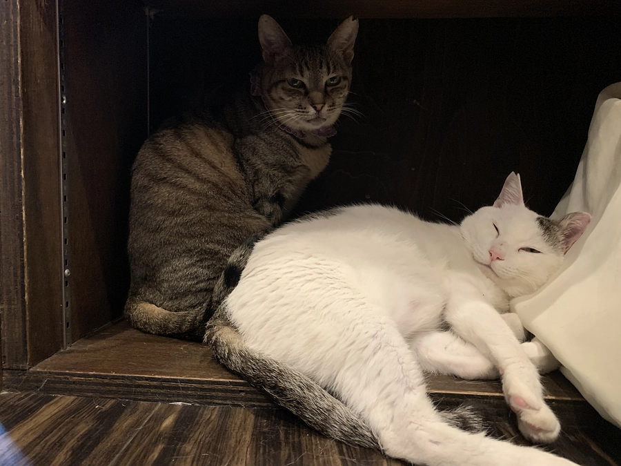 ✨物件契約完了✨