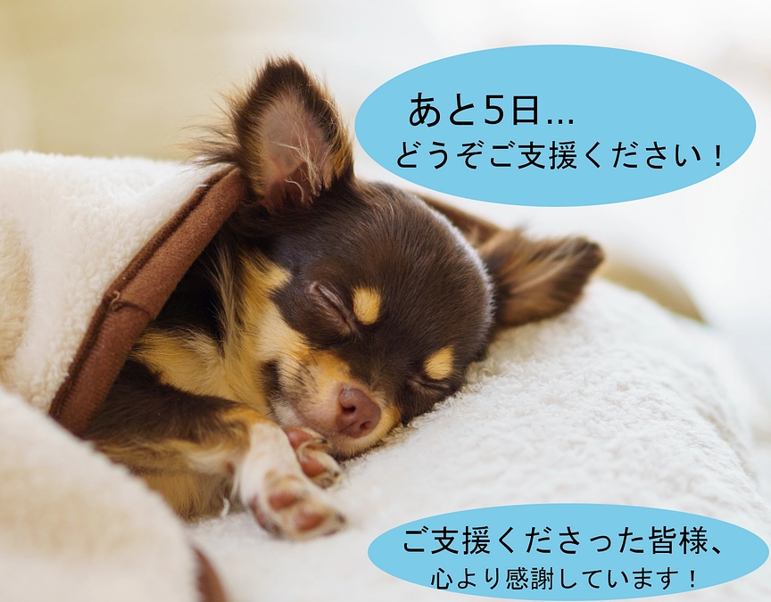 残り5日：多くの方のご支援で、天ヶ瀬に愛犬家コミュニティがひとつ生まれます！