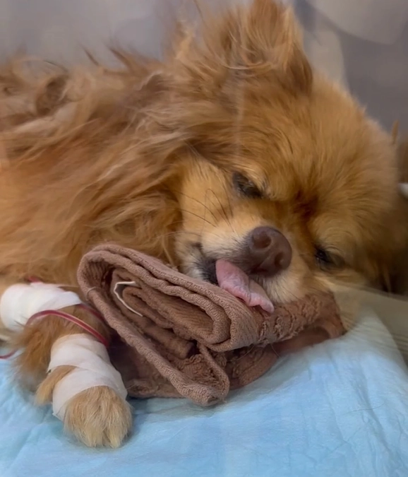 手術終了！ですが…