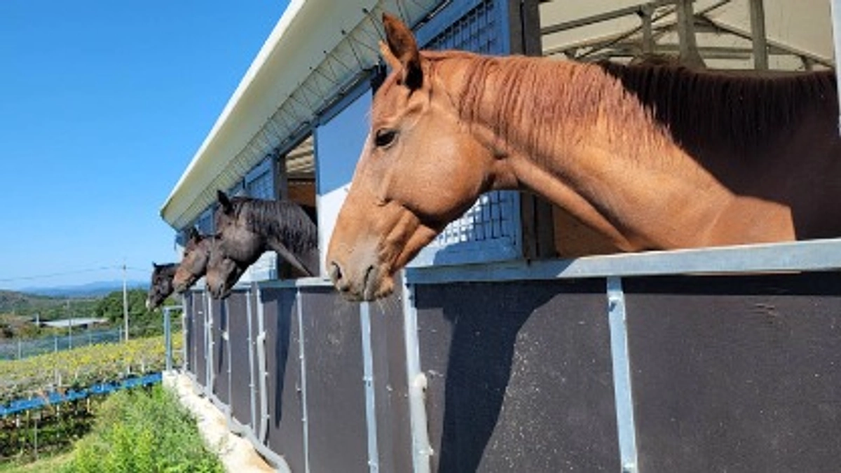 🌟クラウドファンディング開始より１ヶ月が経ちました🌟