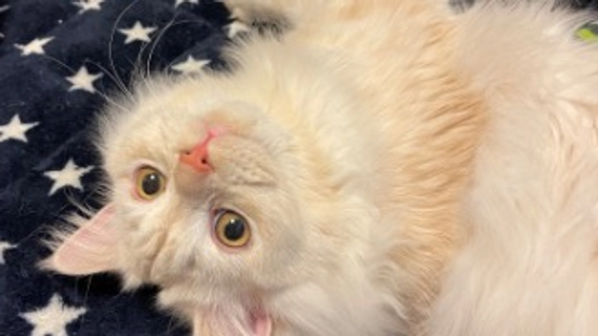 ご支援ありがとうございます！