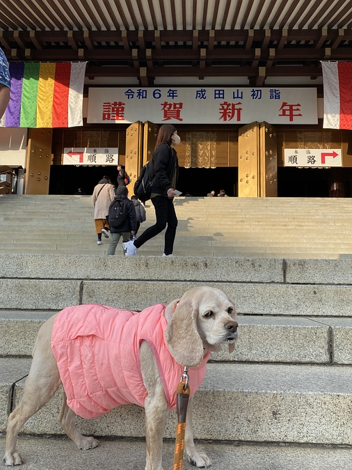 歩けるうちに成田山新勝寺に早くガン治療出来るように参拝に行きました！