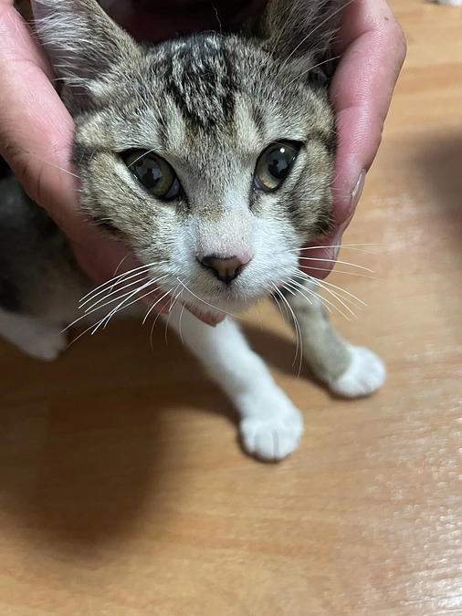 あと少し…！みなさまへ深く感謝しております！！