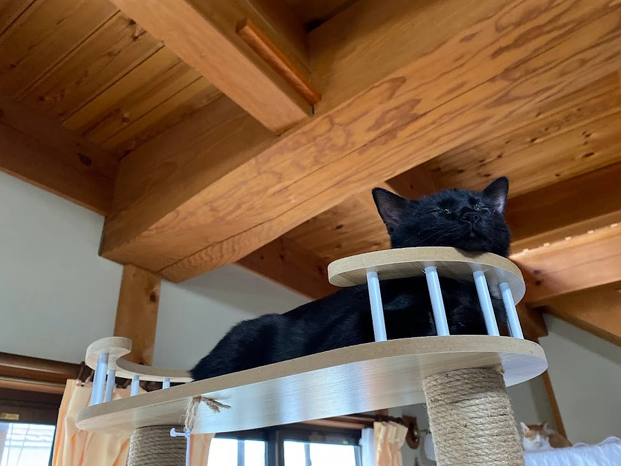 ２０２４年　明けました・・・