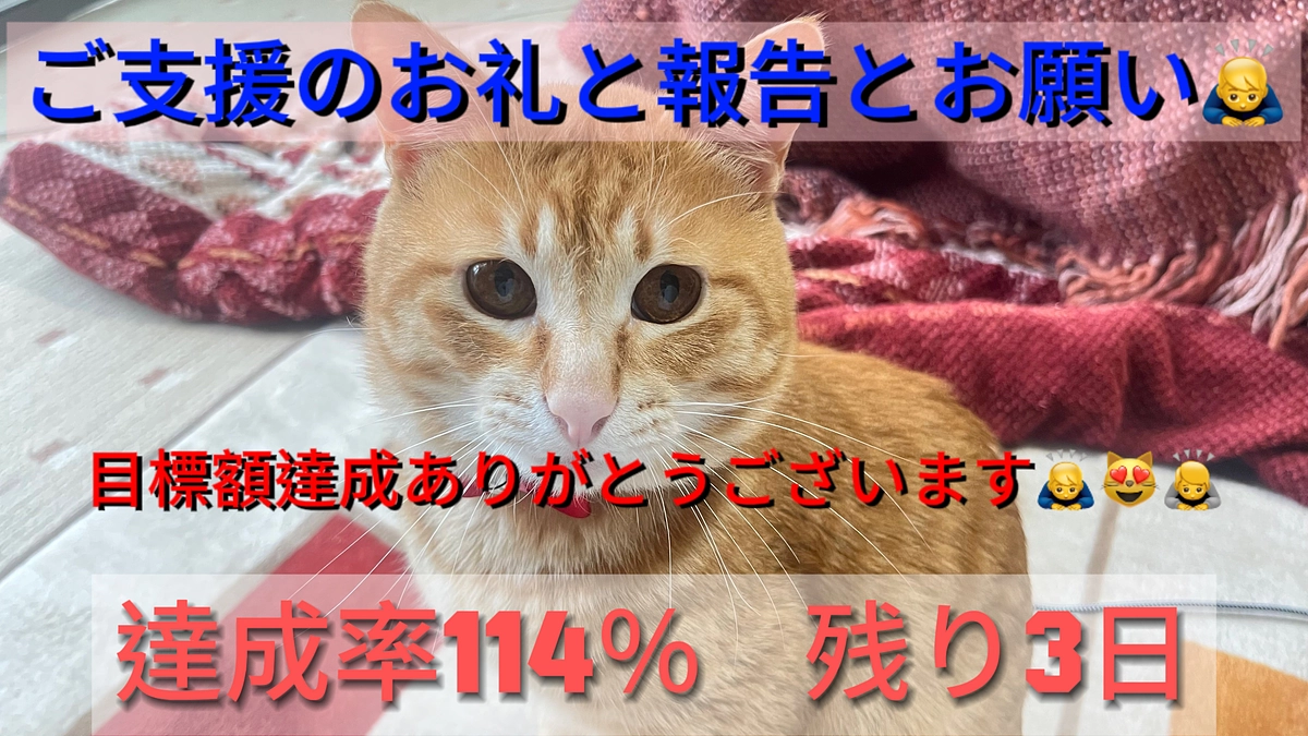 ご支援のお礼と報告とお願い（3/25）