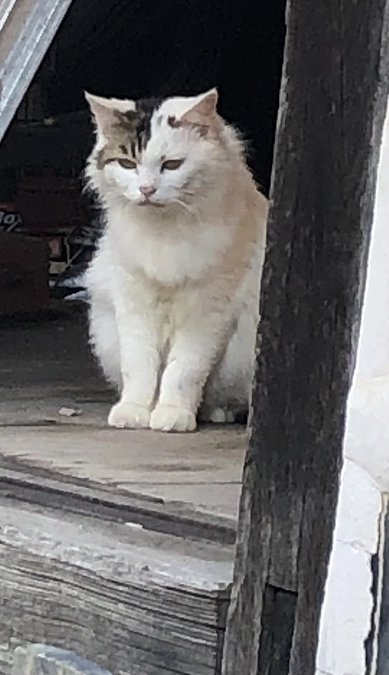 改めて今回の趣旨についてnoteに書きました。