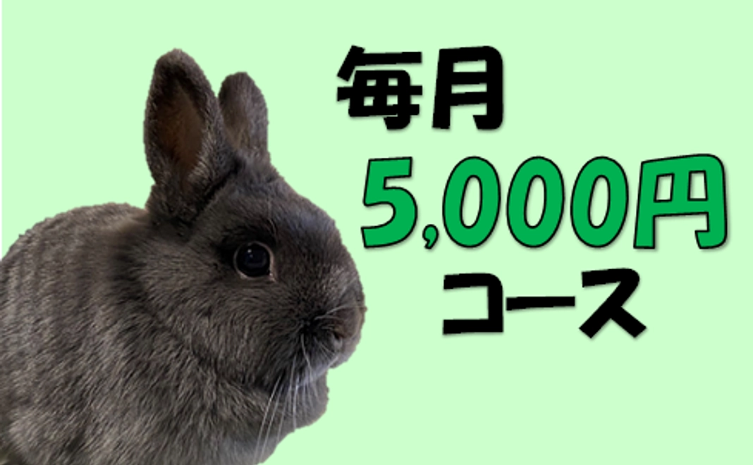 5,000円コース