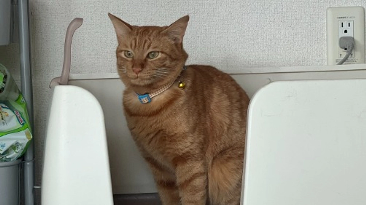 あたたかい人たちに囲まれて４０万円達成しました！！