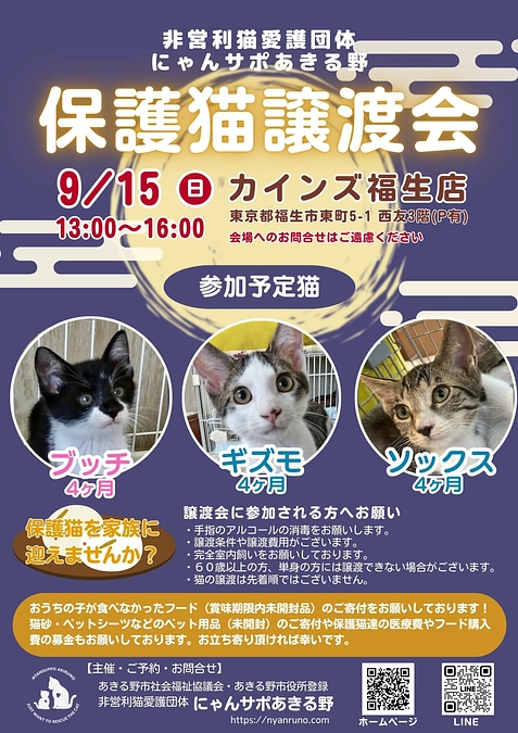 9月15日（日）譲渡会のお知らせです！