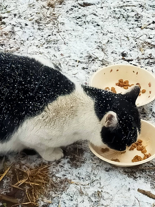 １週間振りの夜ご飯