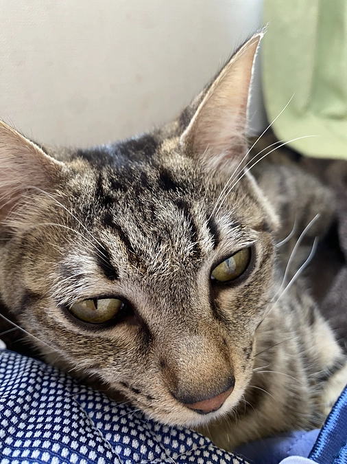 8月19日 検査結果です。