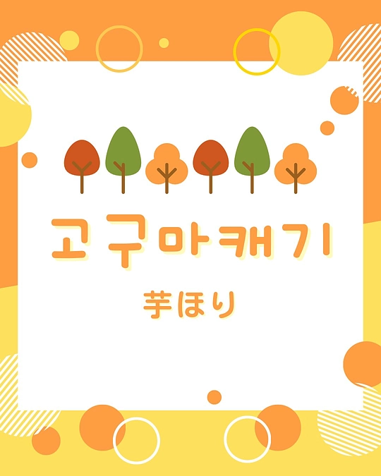 ☆幼稚班☆お芋掘り