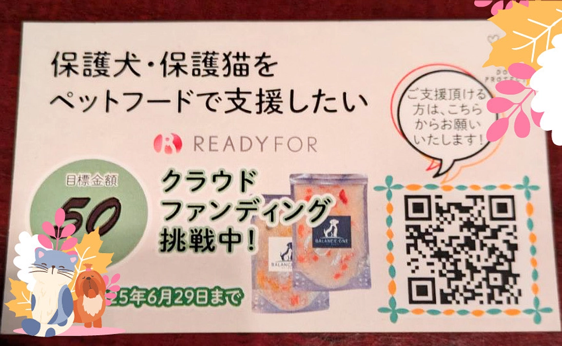 支援金が目標の50％に達しました！ありがとうございます。
