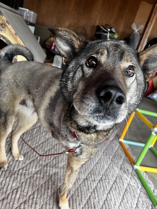 初めての抗がん剤