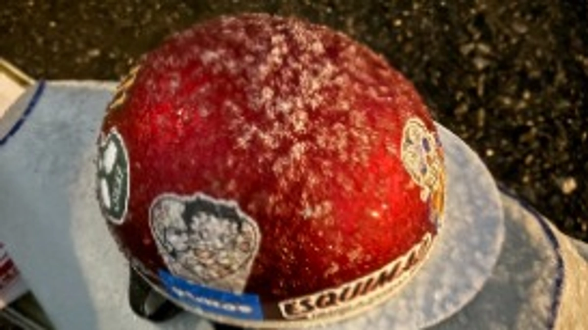 久し振りの活動報告