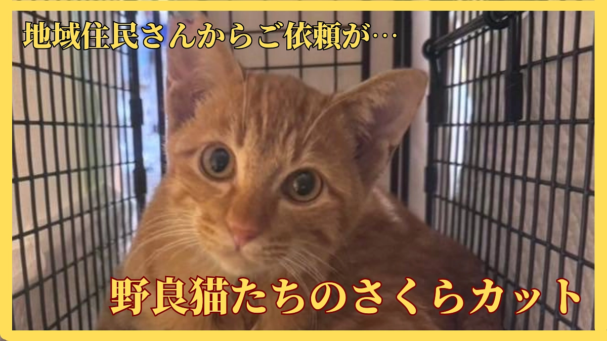 さくらカットで守る命