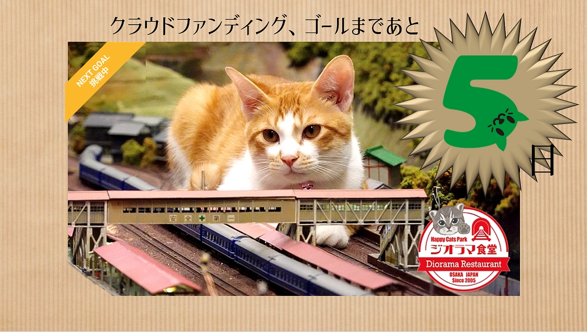 あと5日、皆様のご支援心より感謝いたします。猫たちの幸せのために