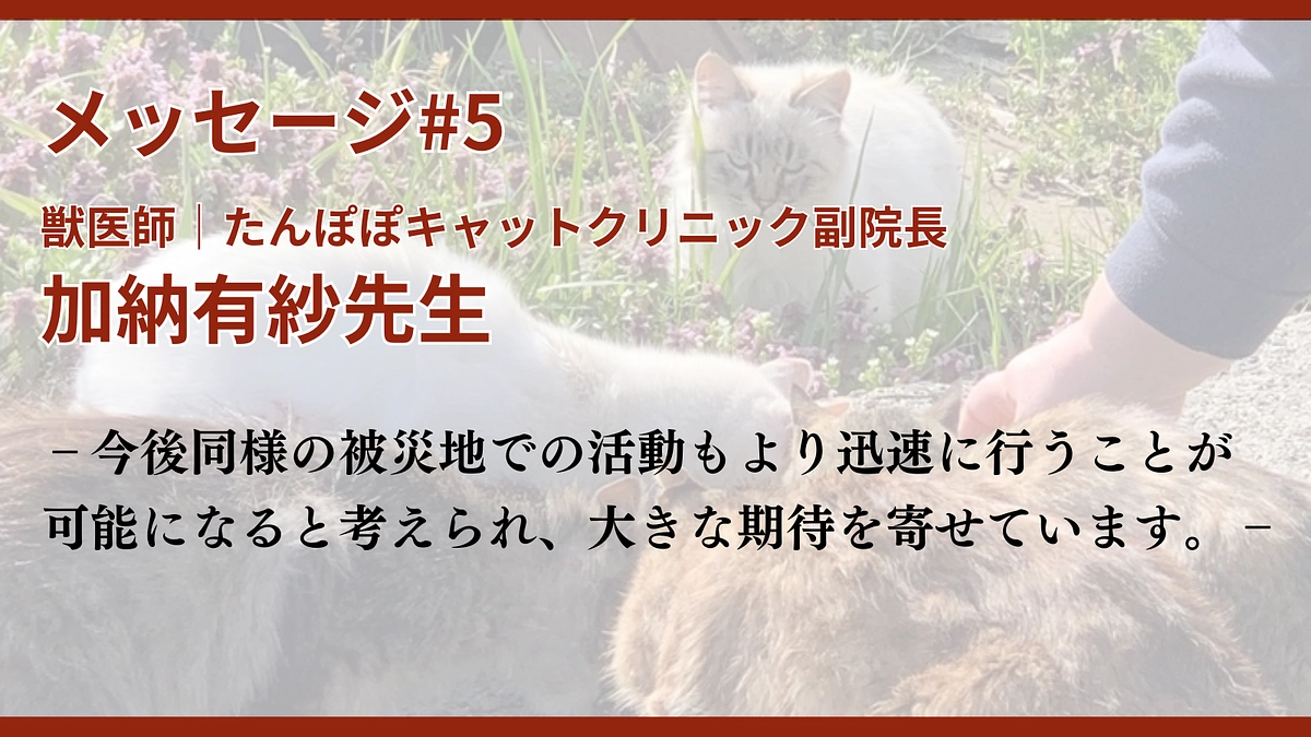 メッセージ#5 加納有紗先生（獣医師｜たんぽぽキャットクリニック副院長）