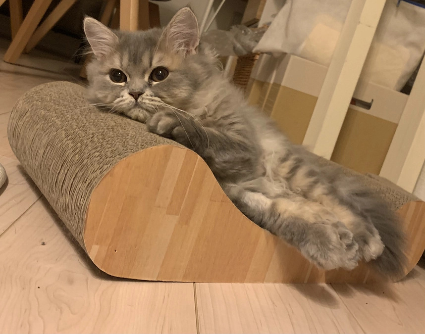 経過報告とお礼