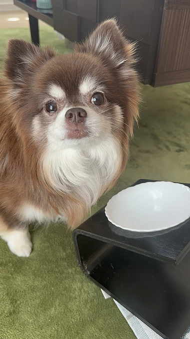 今日は頑張って完食！！