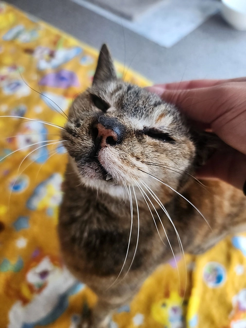 2025年3月活動報告*