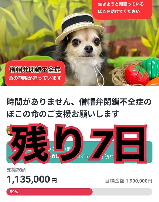 残り1週間となりました💦