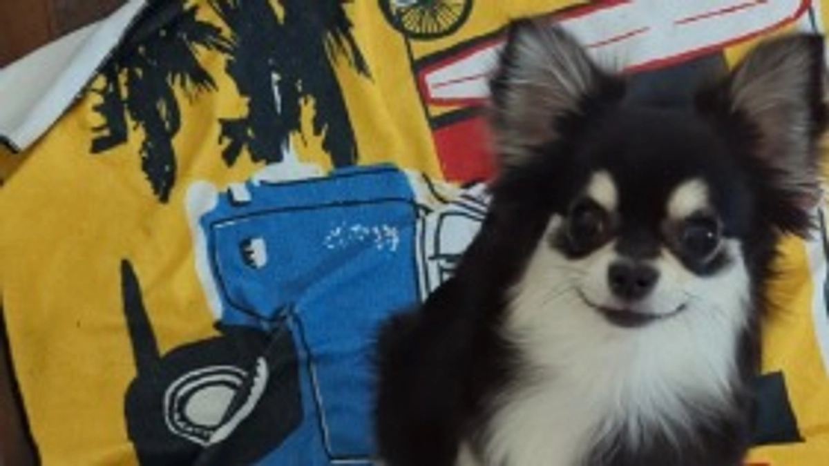 今日もお薬が欲しいぴのです