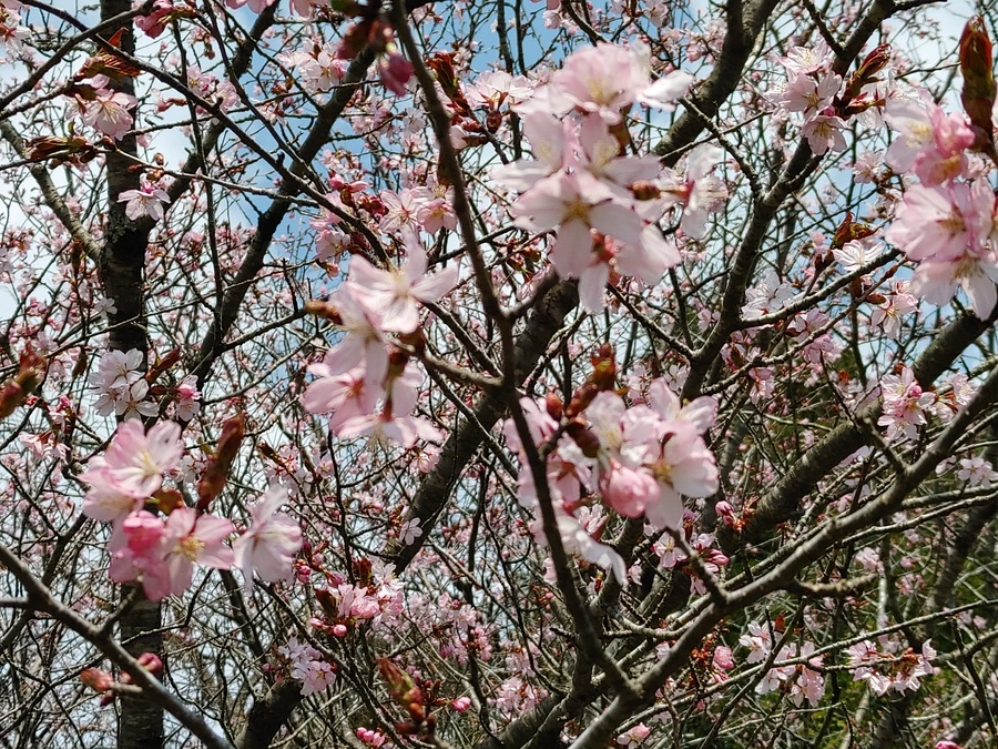 おかげさまで達成しました！