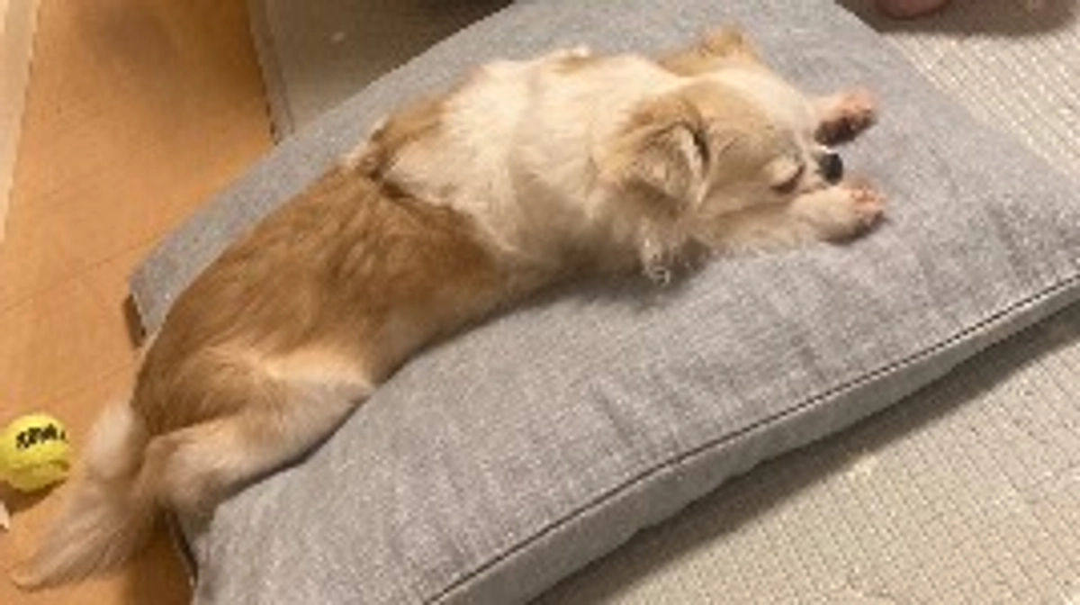 代理支援も対応可能です！