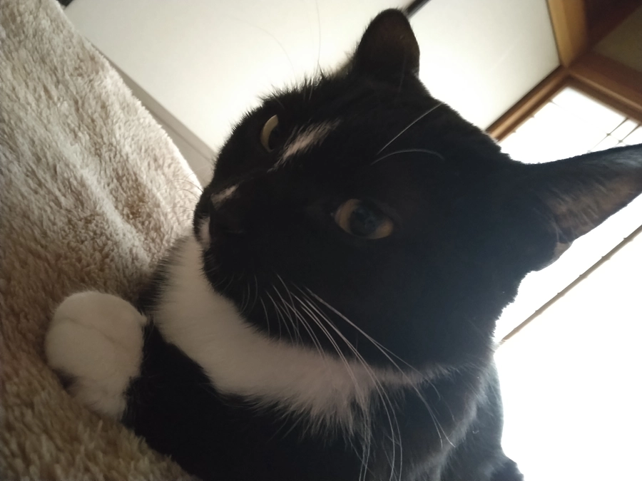 3/19はなちゃんの様子