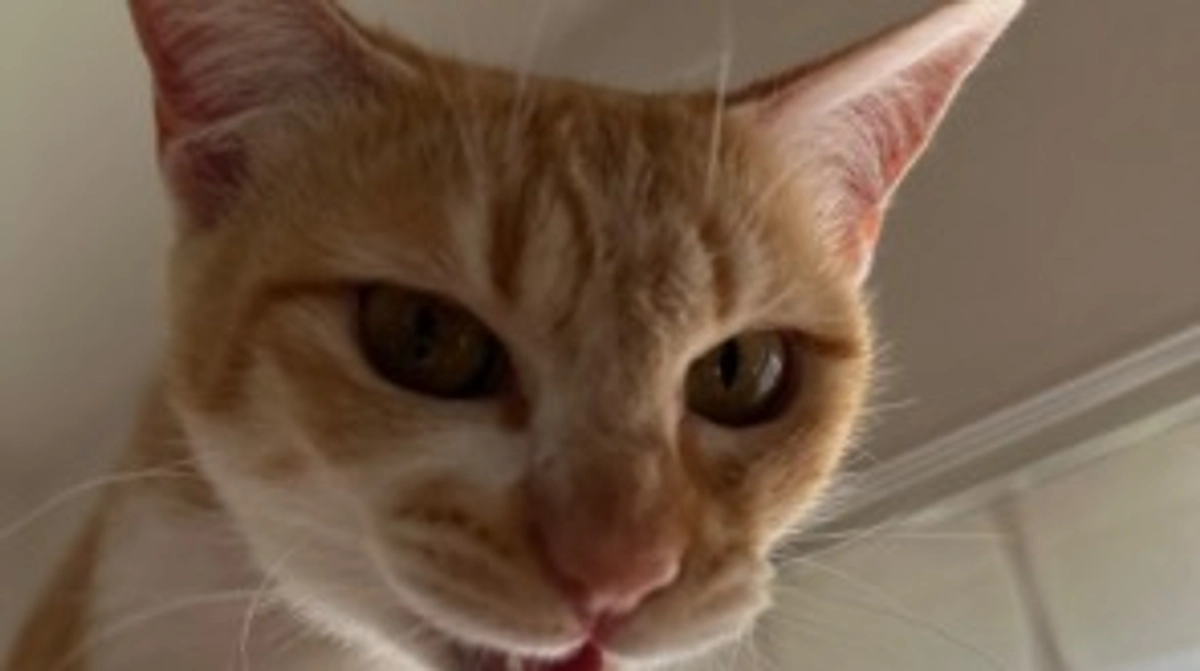 投薬63日目（プロジェクト開始23日目）