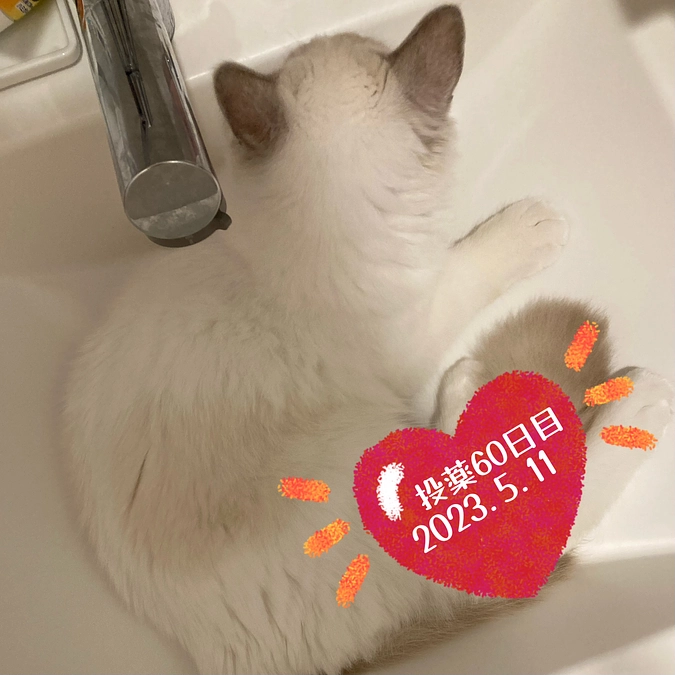 投薬６０日目(2023.5.11)＆ご支援のお知らせ