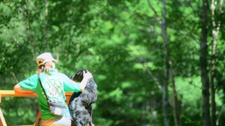 ドッグトレーニングで愛犬とのより良い関係作りをサポートしたい