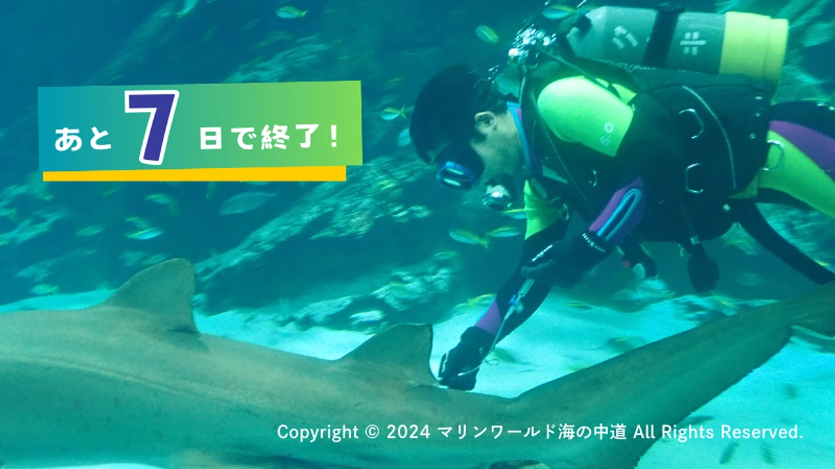 【あと7日】マリンワールド海の中道のシロワニと採血のおはなし