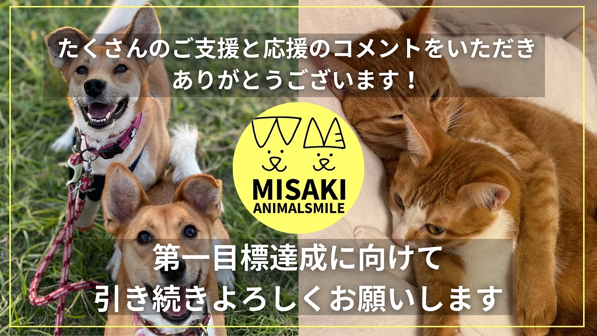 初日終了｜多くの方からのご支援や応援のコメントに身が引き締まる思いです！ご支援ありがとうございます