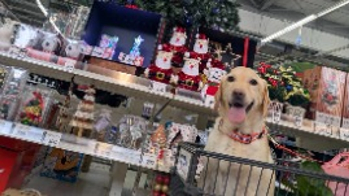 残り日数２日間