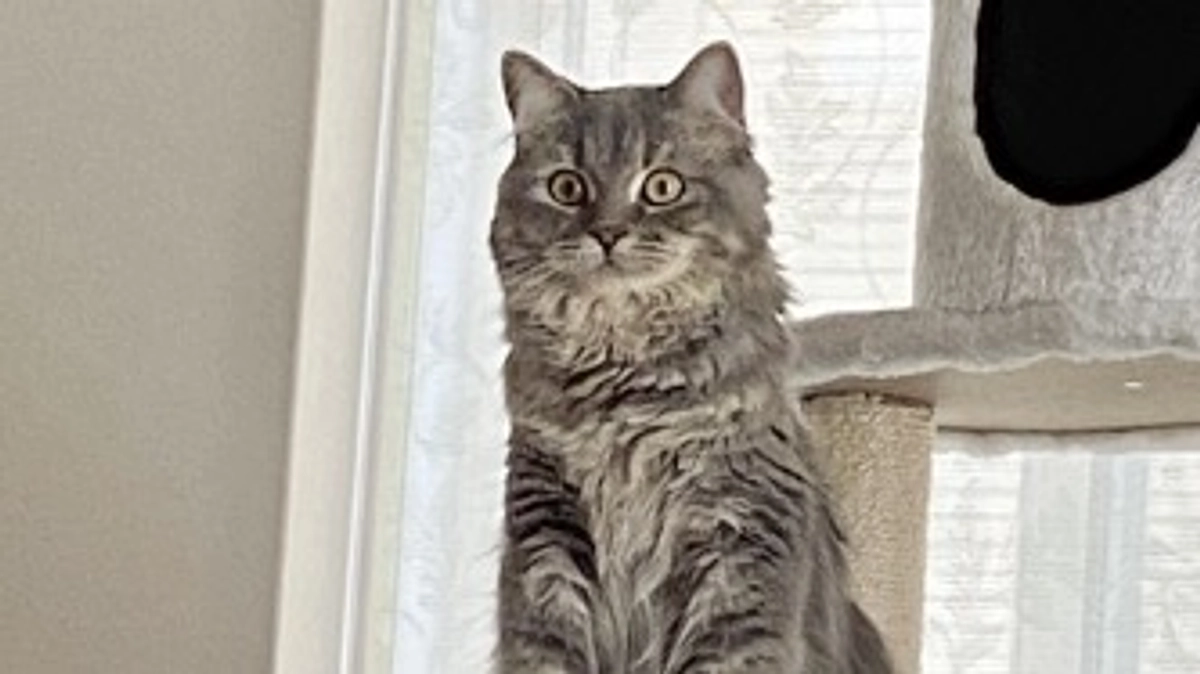 10/8  闘病42日目　折り返し地点