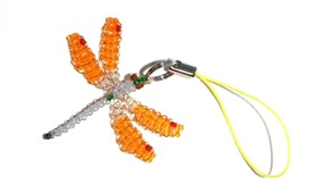 トンボに気が付いてコース