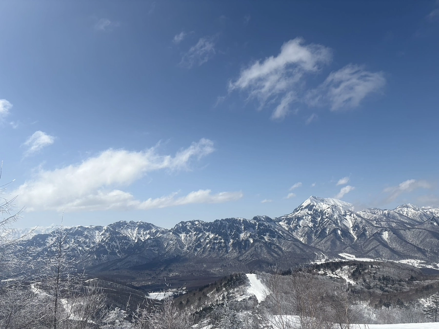 返礼品の発送完了のお知らせ